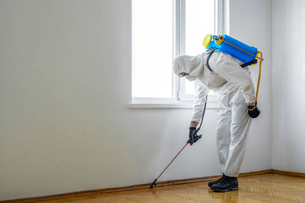 Best Emergency Pest Control  in Bristow, OK